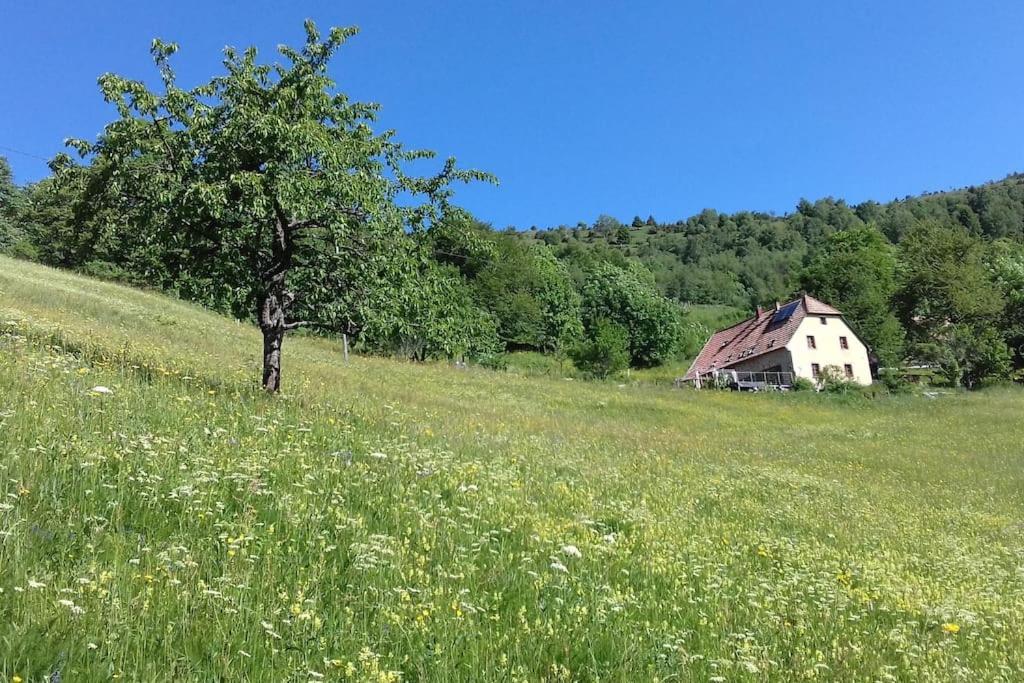Un Coin De Montagne Apartment Linthal Exterior photo